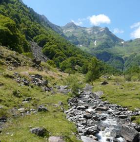 15 propositions pour relancer la dynamique Natura 2000